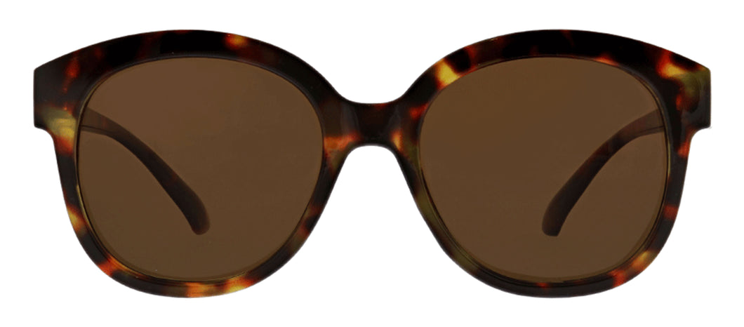 Catalina Oversized Sunglasses in Tortoise