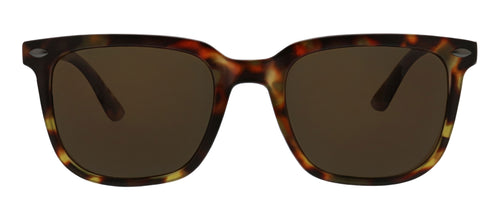 Cruz Sunglasses in Tortoise